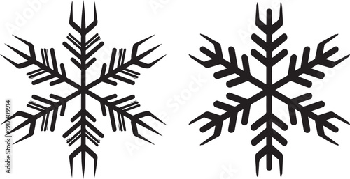 Winter snowflake icons in two detailed styles representing frozen ice crystals weather seasonal holiday decoration nature environment arctic climate patterns outdoors