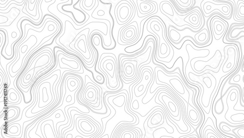 Topography map on white background. Contour line abstract terrain relief texture.  Vector contour topographic map. Topography and geography map grid abstract backdrop. 