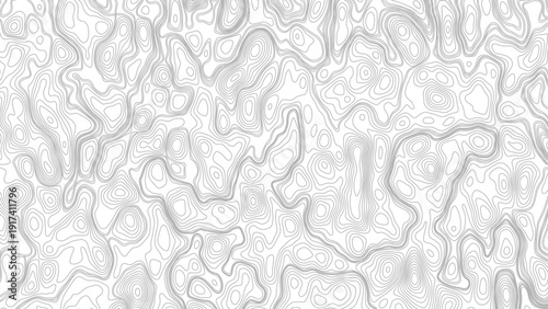 Topography and geography map grid abstract backdrop. Tourism and recreation brochure. Vector contour topographic map.