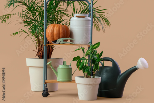 Stand with plants, pumpkin ...