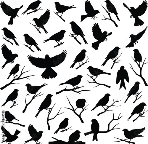 Black bird silhouettes collection featuring northern cardinals and sparrows perched on branches and flying in set of vector nature icons.