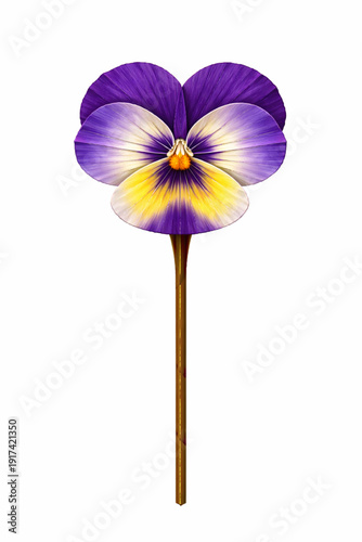 Vector Illustration of Single Pansy Flower Origami Craft