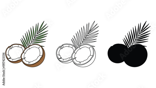 Three different representations of coconuts with palm leaves are shown.
