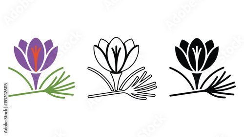 Three stylized depictions of a saffron crocus flower with its stigmas.