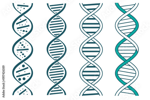 Four unique dna helix illustrations in various styles Vector