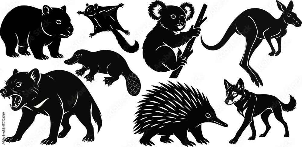 Obraz premium Australian animals silhouette collection vector set
