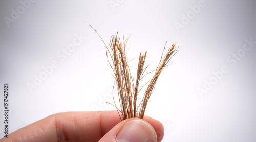 Fingers holding damaged hair with split ends. Close up of dry and brittle brown hair strands. Hair health and repair concept