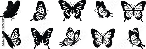 Butterfly silhouette icons collection, insect wing designs illustration, nature motif graphic set, entomology study art, decorative pattern concept, wildlife symbol