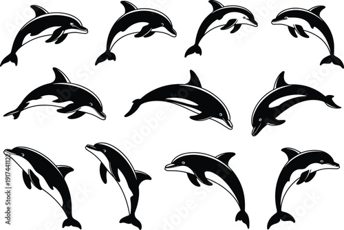 Dolphin silhouette vector icon set, jumping sea animals for marine life, ocean travel, and aquatic design