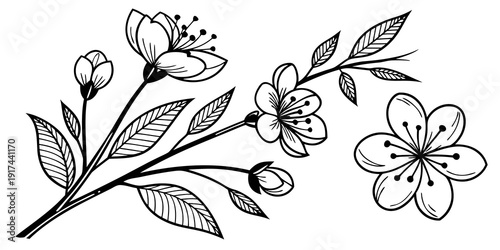 A detailed illustration of a branch with blossoming flowers and leaves