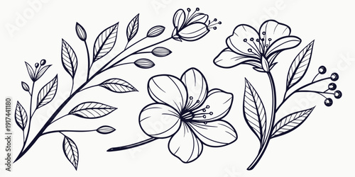 Delicate line drawing of a blooming flower branch with leaves and buds