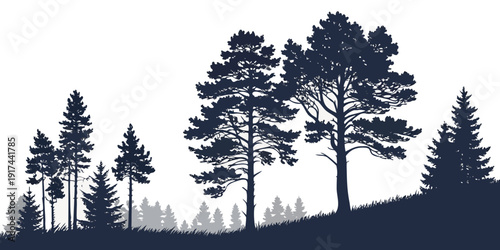 A serene landscape with a cluster of tall trees standing on a hillside