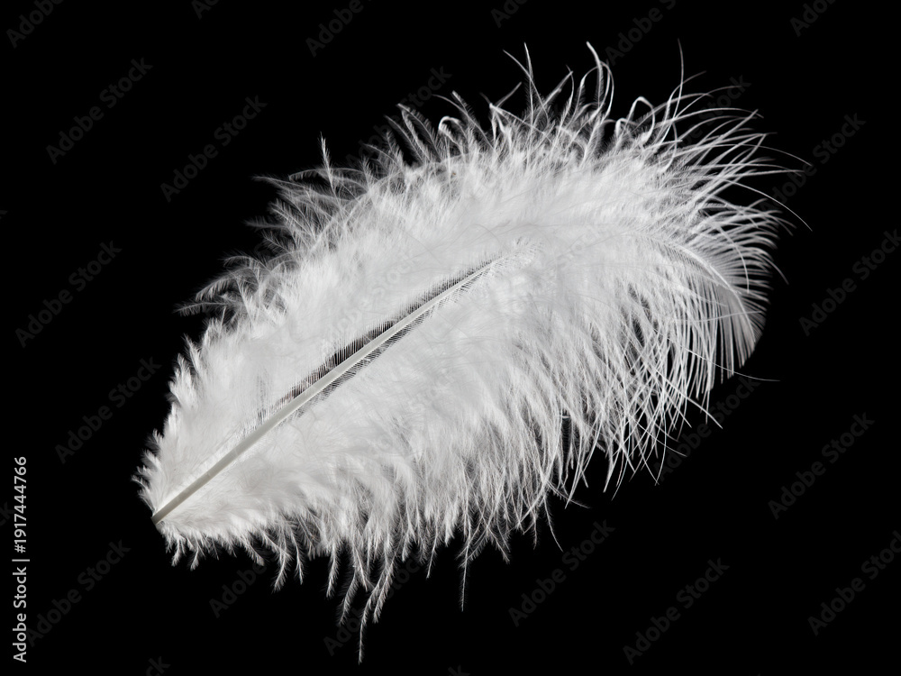 Obraz premium A white feather is on a black background