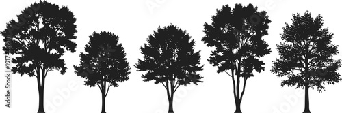 WebSet of Realistic Deciduous Tree Silhouettes with Detailed Leafy Canopies and Trunks Isolated on White Background for Architectural Visualization and Nature Landscape Design Projects