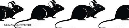 Black vector silhouette set of mice or rats running in a row for pest control service rodent infestation biology research and animal behavior branding