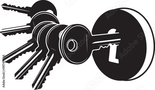 A bunch of keys with one large keyhole key