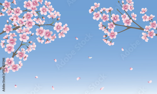 たくさんの桜の花（ブルー背景）