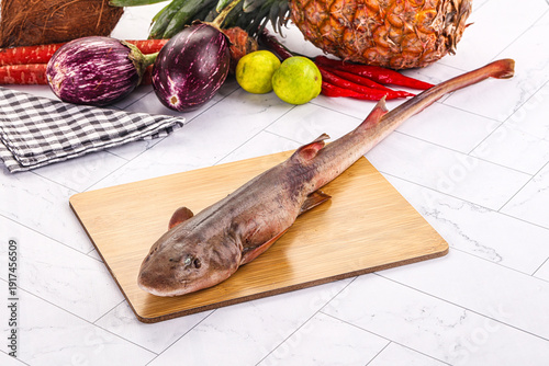 Quadro em tela Raw indian catshark for cooking