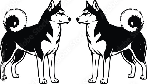 Black and white vector line art set of two Siberian Husky dogs facing each other for pet care breeding animal services and domestic lifestyle branding