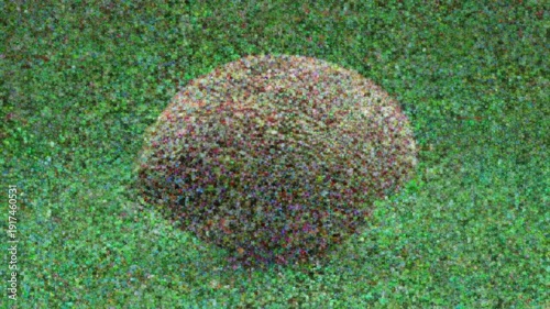 Wallpaper Mural A detailed shot of a clam shell spinning on a bright green background, ideal for visual effects and overlays. Torontodigital.ca