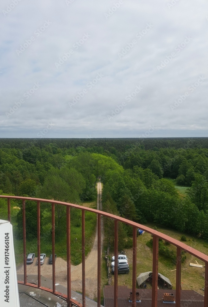 Fototapeta premium View of the forest from the tower