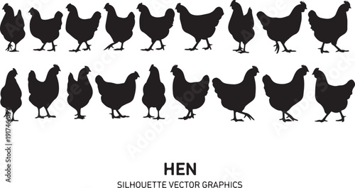 A variety of black and white hen illustrations showcasing different postures and orientations isolated on white background