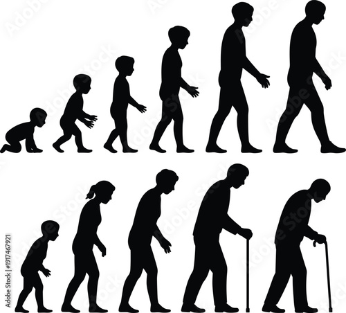 Human Life Stages Progression, Aging Process Concept, Childhood To Old Age Silhouette Evolution Timeline Illustration Isolated On White Background