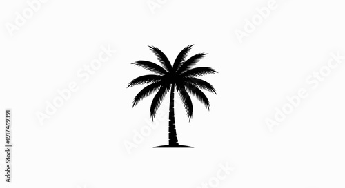 A stark black silhouette of a palm tree stands tall against a white backdrop