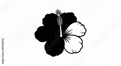 A striking black and white hibiscus flower, divided vertically into contrasting halves