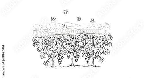 A vineyard with grape clusters and falling leaves against a hilly backdrop