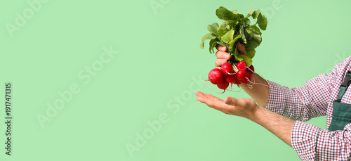 Male farmer with ripe radish on green background, closeup