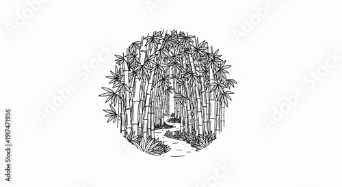 A winding path through a dense bamboo forest, drawn in a sketch style