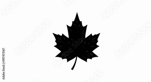 A stylized black maple leaf with detailed veins, isolated on white