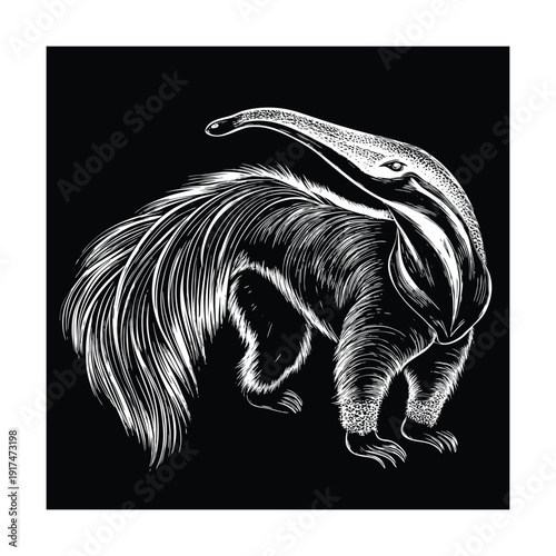 Giant anteater detailed wildlife retro engraving vector illustration.