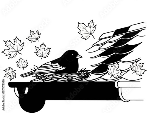 Bird nesting on a gutter with falling leaves