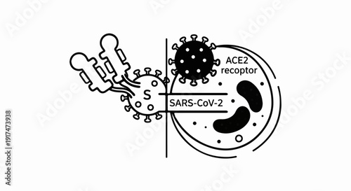 Biological diagram showing SARS-CoV-2 interaction with cell and antibodies