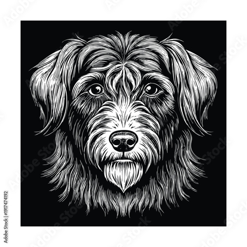 Detailed Black and White Portrait of a Scruffy Dogs Face.