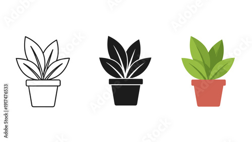 vector illustration of a plant