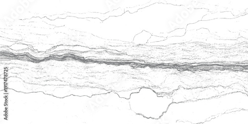 Abstract grayscale topographic map lines and contour patterns