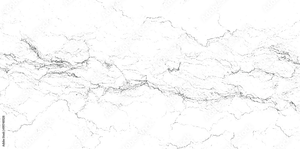 Fototapeta premium Intricate network of fine gray lines and dots forming abstract patterns on a white background texture