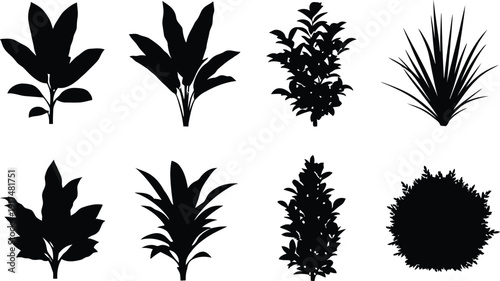 A collection of various plant silhouettes on a white background.