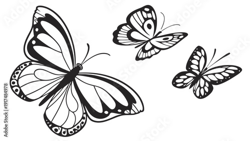 Beautiful butterflies flying in air with detailed wings