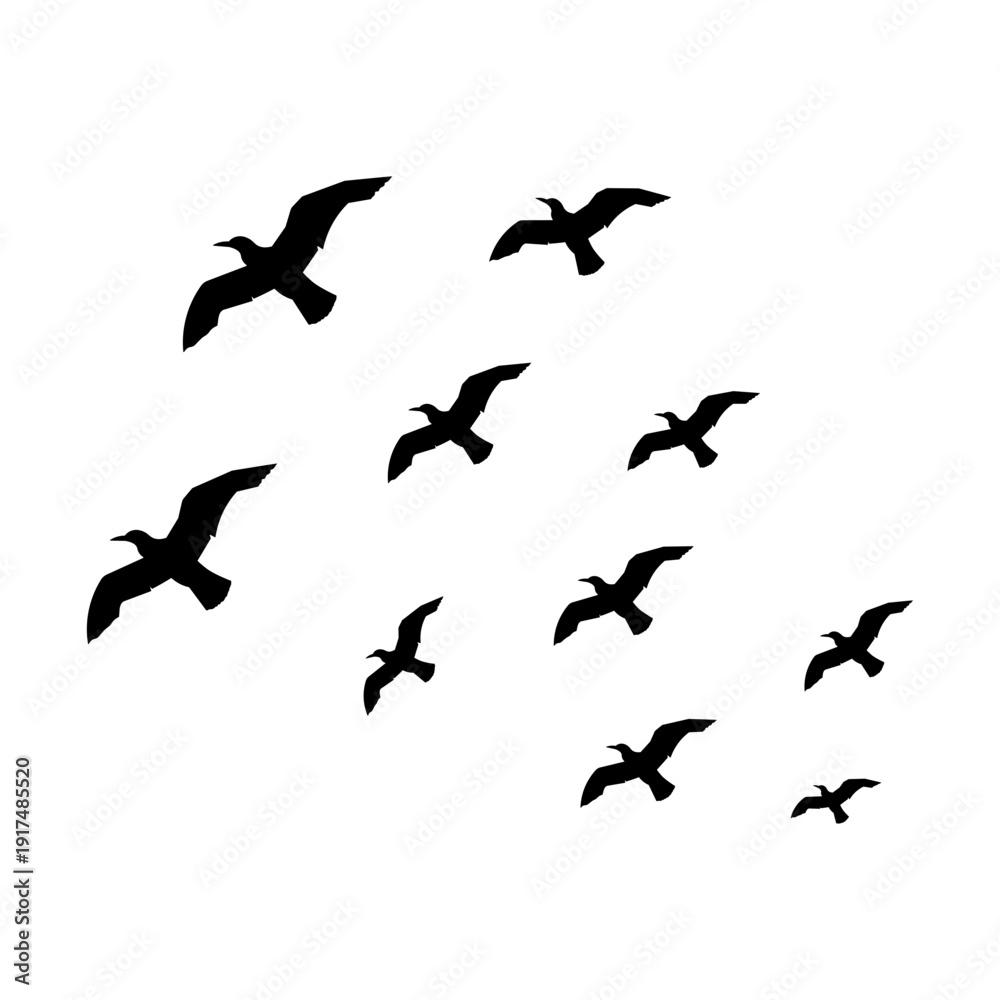 Obraz premium Flying Bird Silhouette