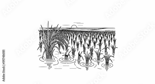 Black and white drawing of a rice paddy field with a setting sun