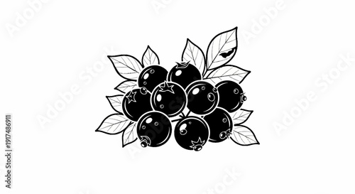 Black and white illustration of a cluster of berries and leaves