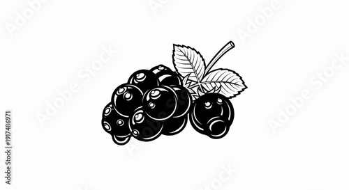 Black and white illustration of a cluster of ripe berries with leaves