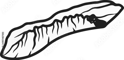 Black and white illustration of a seed with a wing