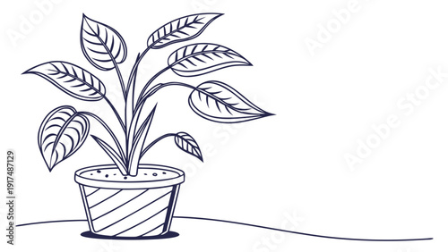 Potted plant with large leaves in decorative pot