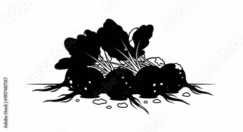 Black and white illustration of root vegetables with leafy tops