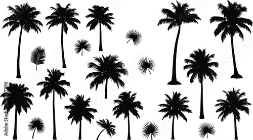 Tropical palm tree silhouettes collection isolated on white background, featuring coconut palms, fan palms, exotic summer nature shapes
